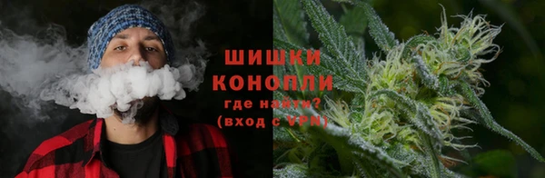 шишки Богородицк